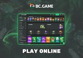 Exploring Payment Methods at BC Game A Comprehensive Guide